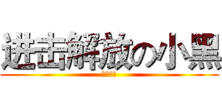 进击解放の小黑 (餐餐餛飩)