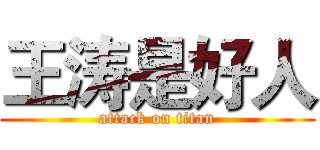 王涛是好人 (attack on titan)