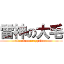 雷神の大毛 (attack on raygodmo)