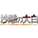 沙雕の大白 (sillyboy of baimax)