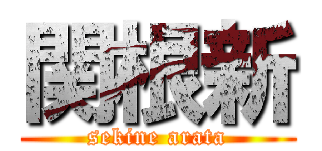 関根新 (sekine arata)