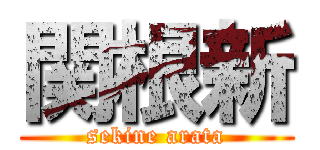 関根新 (sekine arata)