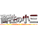 畜牲の小三 (attack on titan)