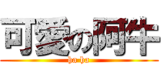 可愛の阿牛 (ha ha)