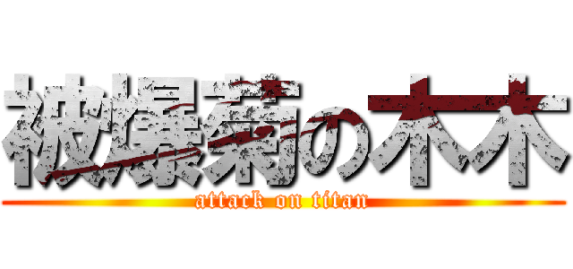 被爆菊の木木 (attack on titan)