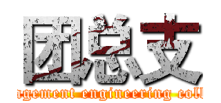 团总支 (management engineering college)