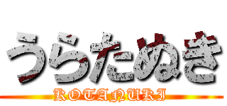 うらたぬき (KOTANUKI)