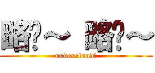 略懂～ 略懂～ (understand?)