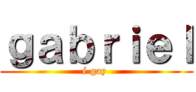 ｇａｂｒｉｅｌ (é gay )