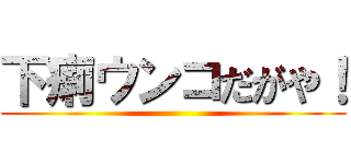 下痢ウンコだがや！ ()