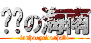 进击の海南 (fanhaoyudashabi)