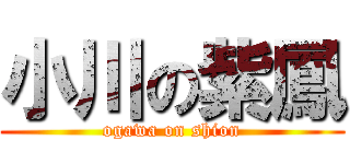 小川の紫鳳 (ogawa on shion)