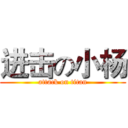 进击の小杨 (attack on titan)