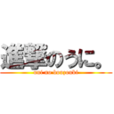 進撃のうに。 (uni no bouzouki)