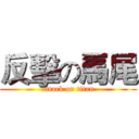 反擊の馬尾 (attack on titan)