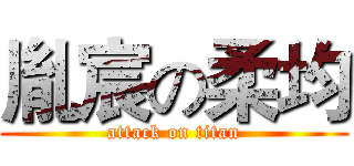 胤宸の柔均 (attack on titan)