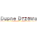 Ｄｕｐｎｅ Ｄｒｚｅｗａ (levi)