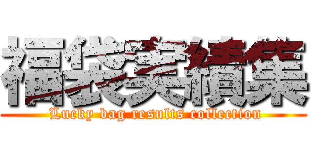 福袋実績集 ( Lucky bag results collection)