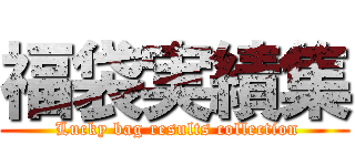福袋実績集 ( Lucky bag results collection)