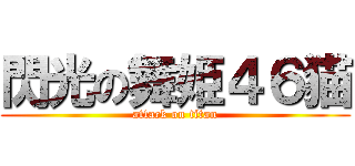 閃光の舞姫４６猫 (attack on titan)