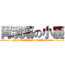 胃潰瘍の小慶 (gastric ulcer on smallching)