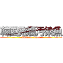 韓国発癌汚染魚 (USA ban import)