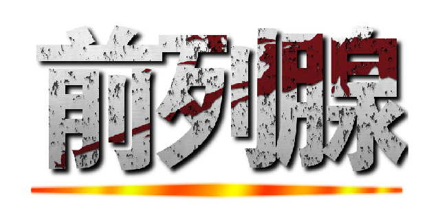 前列腺 ()