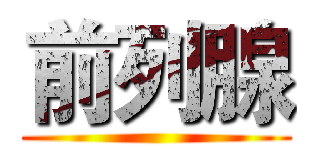 前列腺 ()