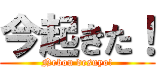 今起きた！ (Nebou desuyo!)