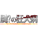 鼬貛の狂犬病 (the Rabies of  ferret badger)