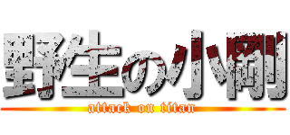 野生の小剛 (attack on titan)