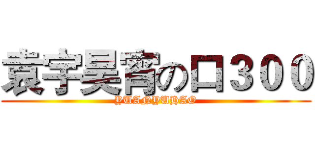 袁宇昊宵の口３００ (YUANYUHAO)