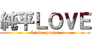 純平ＬＯＶＥ (I love zyunpei)