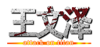 王文泽 (attack on titan)