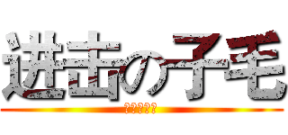 进击の子毛 (物理课代表)