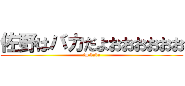 佐野はバカだよおおおおおお (im baka)