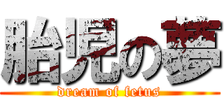 胎児の夢 (dream of fetus)