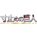 寸止めの巨人 ()