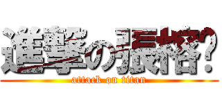 進撃の張榕瑄 (attack on titan)