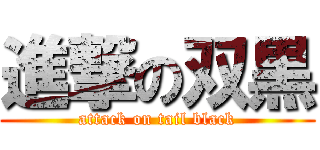 進撃の双黒 (attack on tail black)