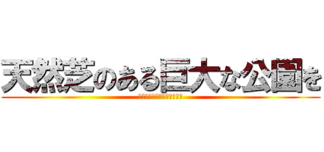 天然芝のある巨大な公園を (かやなや」けららかやいまと)