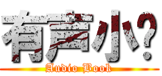 有声小说 (Audio Book)