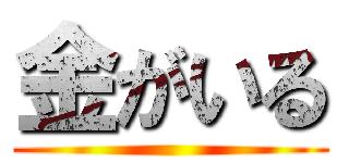 金がいる ()