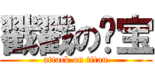戳戳の哔宝 (attack on titan)