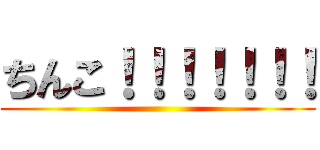 ちんこ！！！！！！！ ()