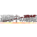 進撃中の萌姫 (attack on titan)