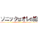 ソニックはオレの嫁 (s o n i c)