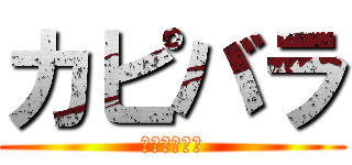 カピバラ (カピバラは神)