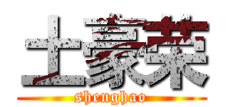 土豪荣 (shenghao)