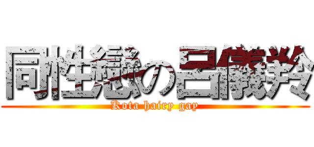 同性戀の呂儀羚 (Kota hairy gay)